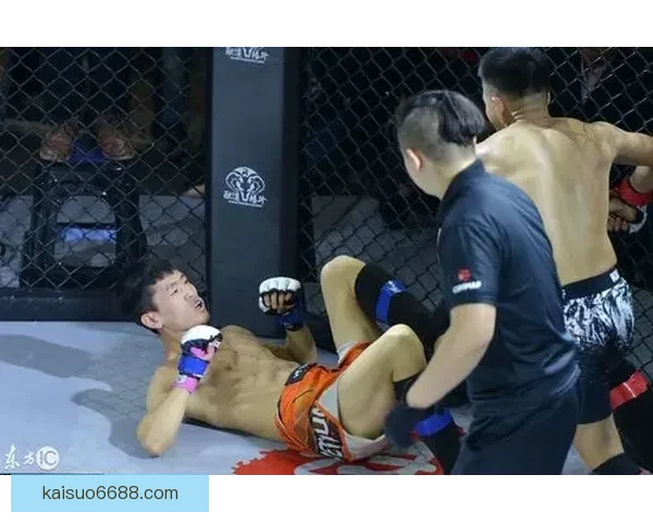 以西提猜对决一龙巅峰之战谁才是真正格斗王者擂台历史性碰撞全面解析